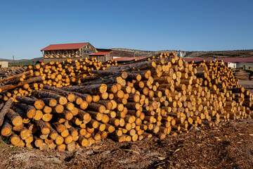 industria de la madera, Cabrejas del Pinar, Soria, Comunidad Autónoma de Castilla, Spain, Europe