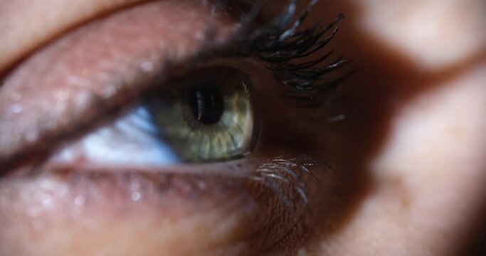 Macro female eye with mascara, closeup