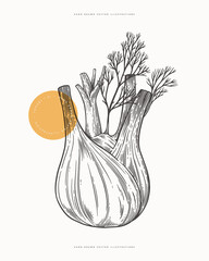 Fennel root on a light background isolated. Hand drawn plant for cooking healthy food. The concept of organic food. Vector vintage illustration.