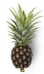 Fototapeta premium A green pineapple isolated on white background
