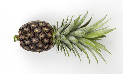 A green single pineapple isolated on white background used in fruit concepts design