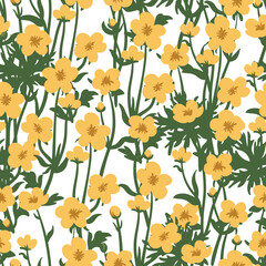 Buttercups vector seamless pattern. Summer yellow wildflowers floral background.