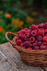 raspberries in a basket