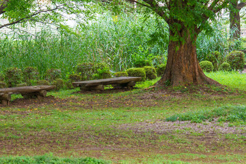 自然公園の中のベンチ