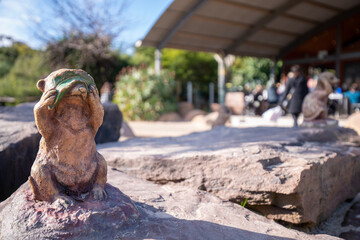 Werribee Open Range Zoo Safari Tour
Meerkat Statue
