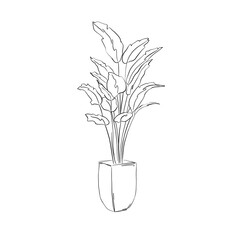 Line art with beautiful plants and flowers. Realistic plant in line art style. Beautiful background,template,wallpaper with line art. Unusual plants and flowers