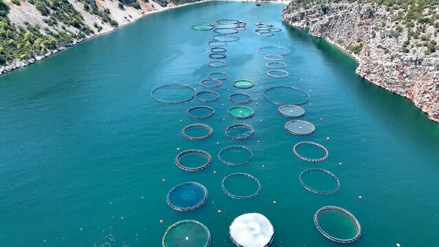 Aerial view of a large fish farm at a small bay in the blue, mediterranean sea in Greece