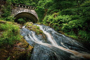 bridge over the river
