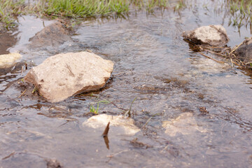 A closeup of a clear flowing gargling water around the cobblestones. Green grass. Unsaturated, cold early morning