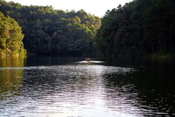 Scene of bamboo raft with traveler camping in the lake with pine forest	
