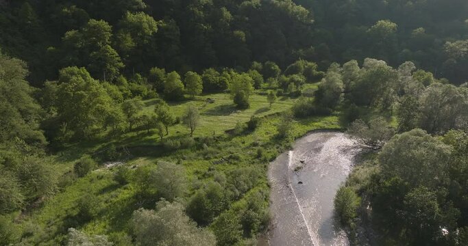 River Stream With Lush Forest Valley Near Daba, Georgia. Aerial Shot