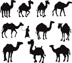 Collection of Arabic Camel isolated Vectors Silhouettes