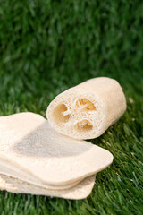 Loofah sponge close up, mockup. Green grass.nature background. Skincare beauty product. Exotic natural cosmetics