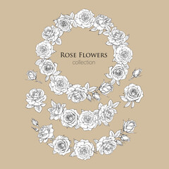 Set of decorative elements with rose flowers, vintage round frame, vignettes and garlands. Black and white hand drawn realistic vector illustration