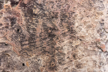 Stones texture for background or backdrop