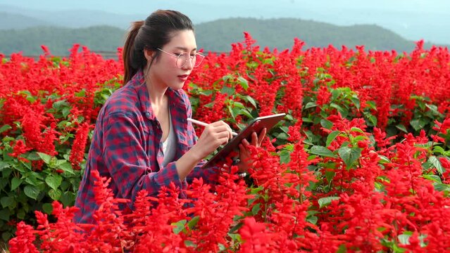 Asian Female farmer using digital tablet in flowerr field.