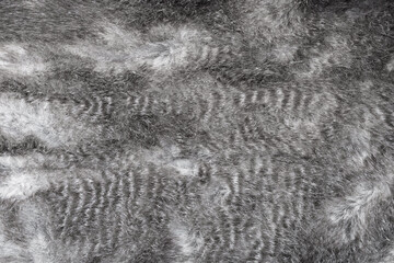 Faux fur grey wool abstract pattern nature skin soft warm fluffy background texture