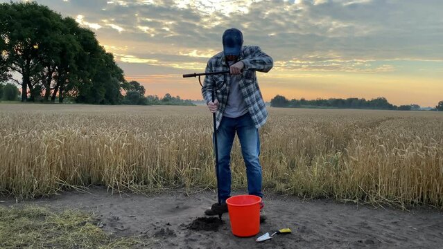 Male agronome using soil probe sampler putting sample to bucket with garden trowel on background of grain field at dawn. Agriculturist providing soil sampling. Environment research, soil certification