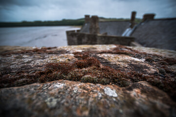 Blackness Castle Scotland moss on the walls