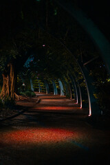 natural arches over pathway at night