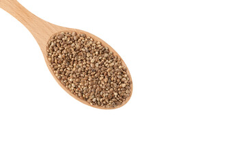 Hemp seeds or cannabis seeds in wooden spoon isolated on white background, top view, close-up. Design element. Copy space