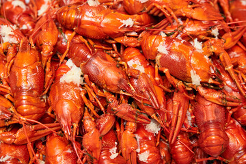 Red boiled crayfish with garlic and dill. Close-up, selective focus