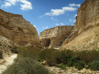 Wadi Ein Avdat, Israel