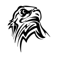 drawing of a flaming eagle. Print for clothes. Tattoo.