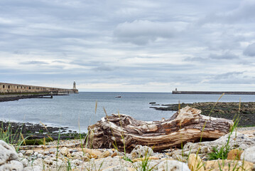Fototapeta na wymiar Landscape of the North Sea on the coast of Newcastle, with two piers going out to sea and a log in the foreground. Old lighthouses in the distance on the pier.