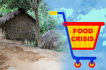 poor palm leaf huts, grocery carts, trolley, concept of declining living standards, global food...