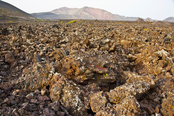 Volcanic landscape in Timanfaya in Lanzarote island in Canary Islands in Spain