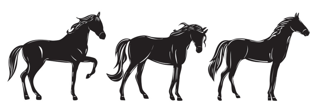 horse silhouette on white background isolated