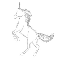 unicorn sketch on white background outline isolated, vector