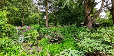Botanischer Garten Hamburg (LOKI SCHMIDT-GARTEN)
