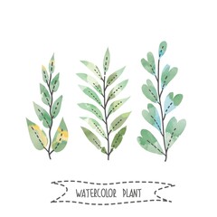 Set of handpainted watercolor vector flowers and leaves. vector design.