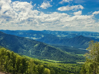 Landscape of the Altai Mountains. Manzherok.