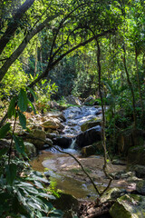 Naklejka na ściany i meble Stream of crystal clear water amidst the vegetation of Serra da Mantiqueira in the hydromineral resort of Amparo, located in the state of Sao Paulo, Brazil