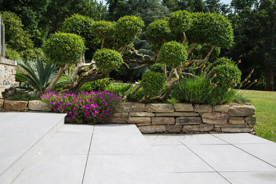 Modern garden design and landscaping:Hillside plot paved with natural sidewalk flagstones in contrast to a raised bed with natural stone walls, planted with succulents, flowers and beautiful boxtrees