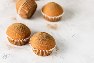 Tasty Homemade Vanilla Muffins Homemade Bakery on Light Gray Background Copy Space
