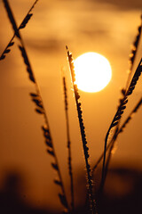 Por do sol / Sunset