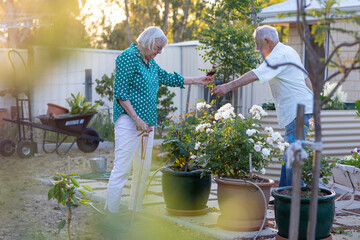 elderly couple in their suburban back garden