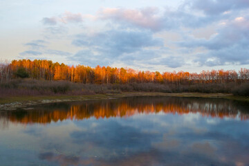 sunset in the National Park Maasduinen in the Netherlands