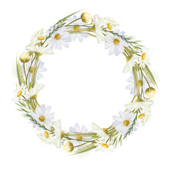 Wreath of watercolor chamomiles, illustrations on a white background