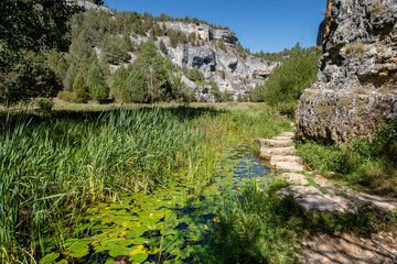 Fototapeta na wymiar zona de reserva Castillo Billido, Parque Natural del Cañón del Río Lobos, Soria, Comunidad Autónoma de Castilla, Spain, Europe