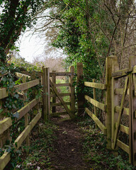 Fence and gate in the countryside