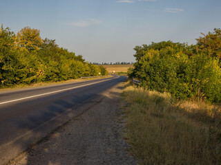 An empty country road among the trees, going beyond the horizon, in the rays of the setting autumn sun.