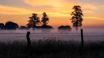 Piękne ujęcie wschodu słońca nad łąką, Podlasie, Polska © podlaski49