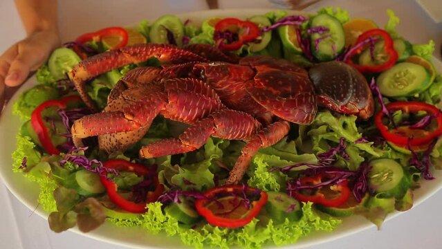 Extraordinary dish - coconut crab cooked and served with green salad on a plate. High quality FullHD footage
