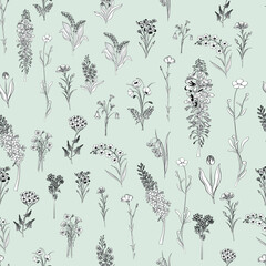 Different types of wild flowers. Seamless pattern.