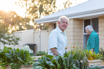elderly couple in their suburban back garden